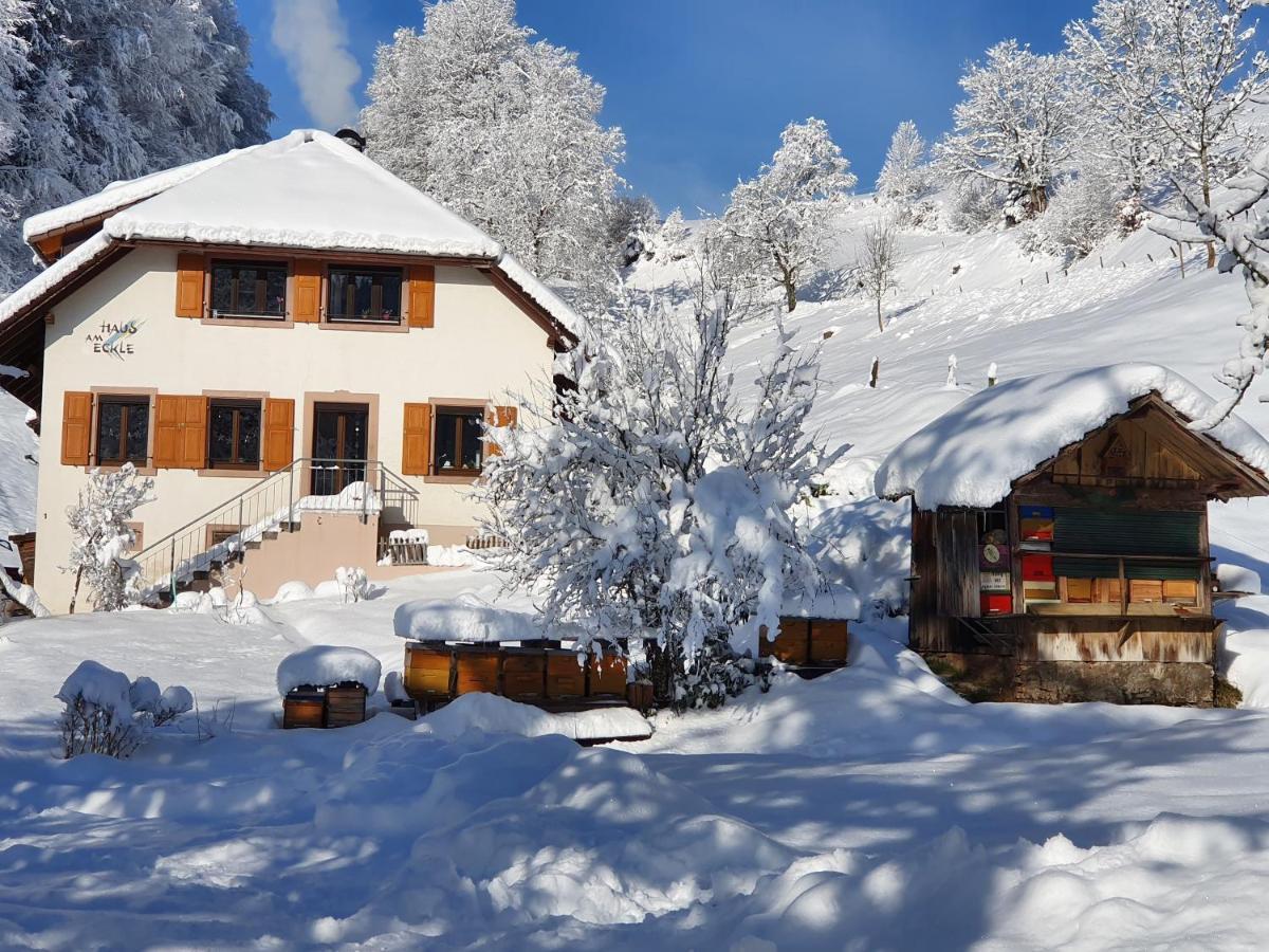 Haus Am Eckle Apartment Kleines Wiesental ภายนอก รูปภาพ