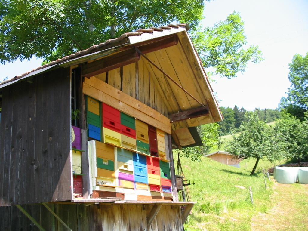 Haus Am Eckle Apartment Kleines Wiesental ภายนอก รูปภาพ