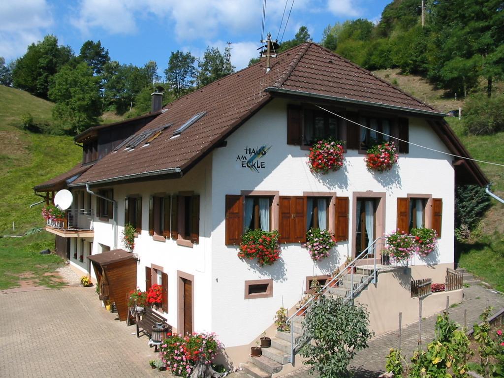 Haus Am Eckle Apartment Kleines Wiesental ภายนอก รูปภาพ